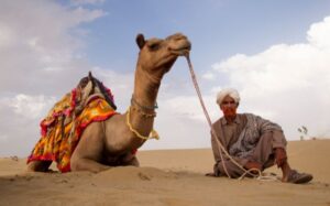 Premium Camel Safari Tour