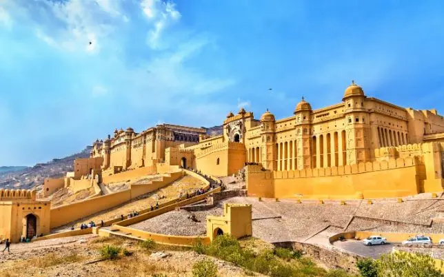 Amber Fort and Elephant Village Tour​