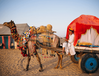 Golden Triangle Tour with Ajmer & Pushkar