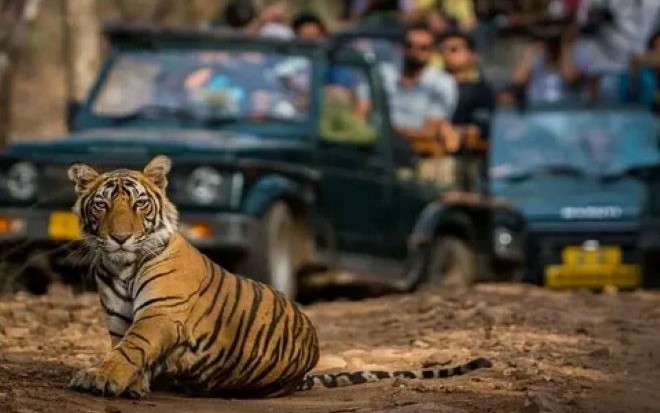 2 Days Agra Ranthambore Tour​