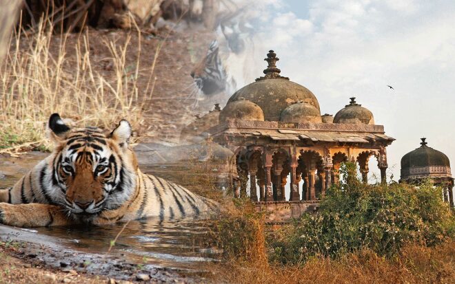 2 Days Ajmer Ranthambore Tour​