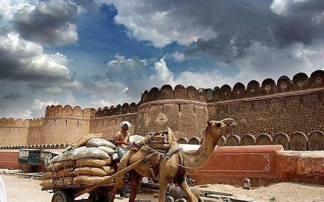 Bikaner Desert Safari​