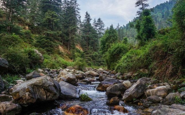 Kullu Manali, Kasol & Jibhi Tour from Delhi​